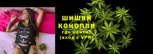 прущие грибы Армянск