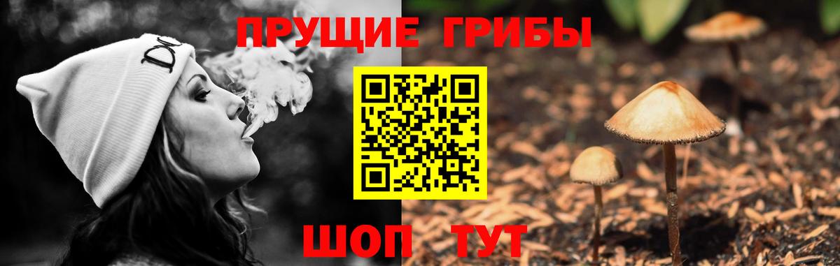 Псилоцибиновые грибы Лянтор